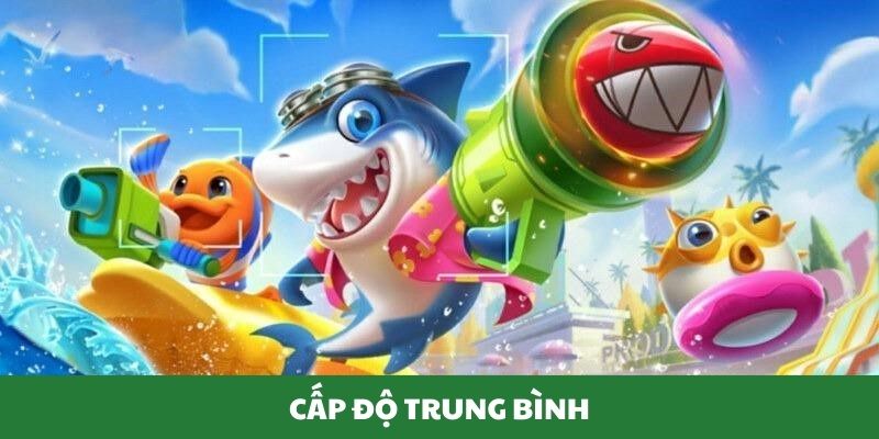 Thành viên tham gia cấp độ trung bình