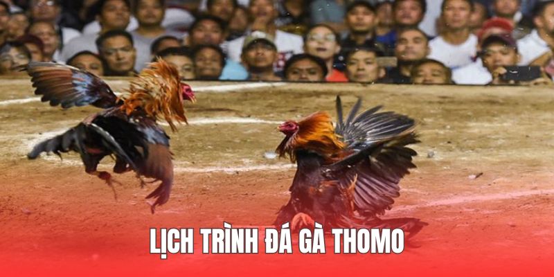 Trận đấu diễn ra liên tục suốt ngày nên rất dễ trải nghiệm
