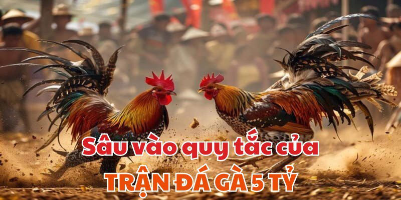 Tìm hiểu kỹ hơn về quy tắc chơi đá gà