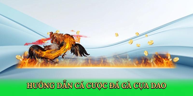 Cách thức cá cược gà chọi cựa dao tại Nohu90