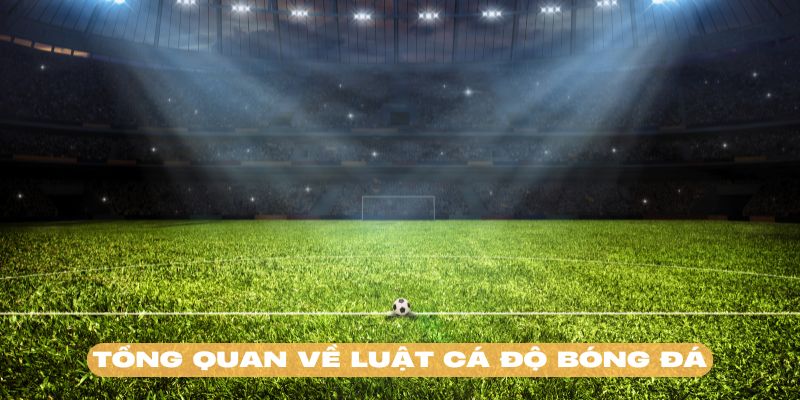 Luật cá độ bóng đá mang lại sự ổn định cho sân chơi