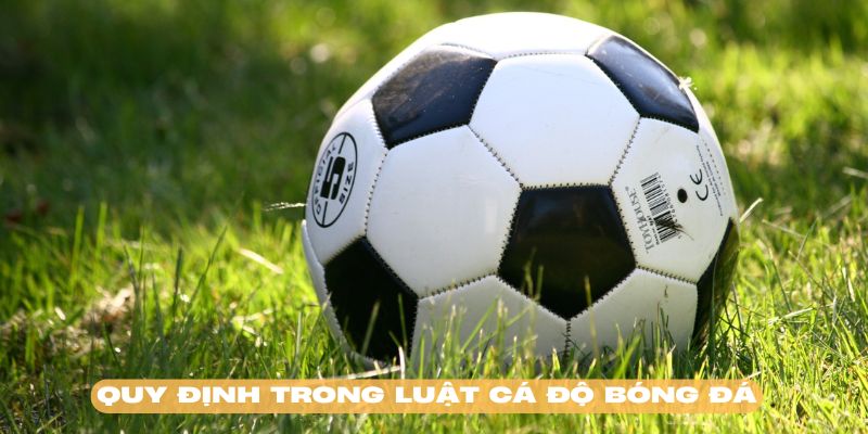 Luật cá độ bóng đá với những quy định cụ thể