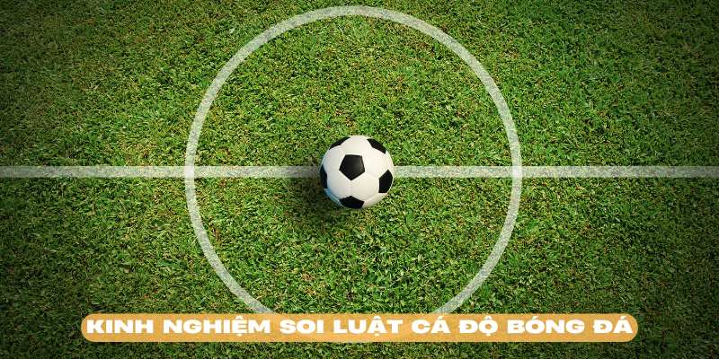 Thành viên nên học hỏi những kinh nghiệm về luật cá độ bóng đá