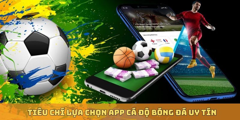 Tiêu chí lựa chọn app bóng đá rất quan trọng