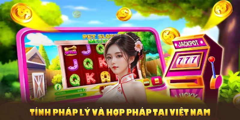 Tính pháp lý và hợp pháp tại Việt Nam