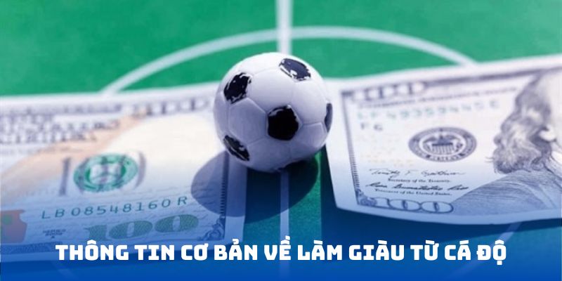 Tổng quan khái niệm về hình thức cá độ