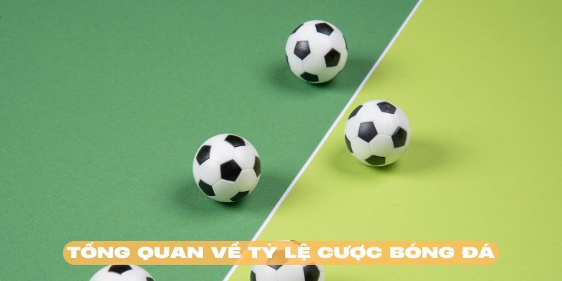 Tỷ lệ cược bóng đá là gì? Là hệ thống được xây dựng bài bản