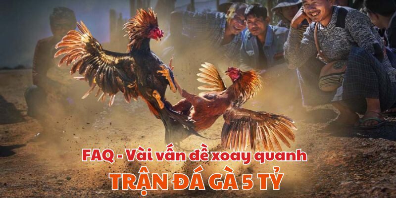 Vài câu hỏi từ chuyên mục FAQ